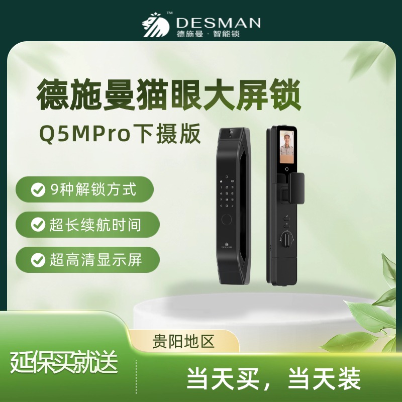 德施曼大圣双摄全自动智能锁Q5MPro