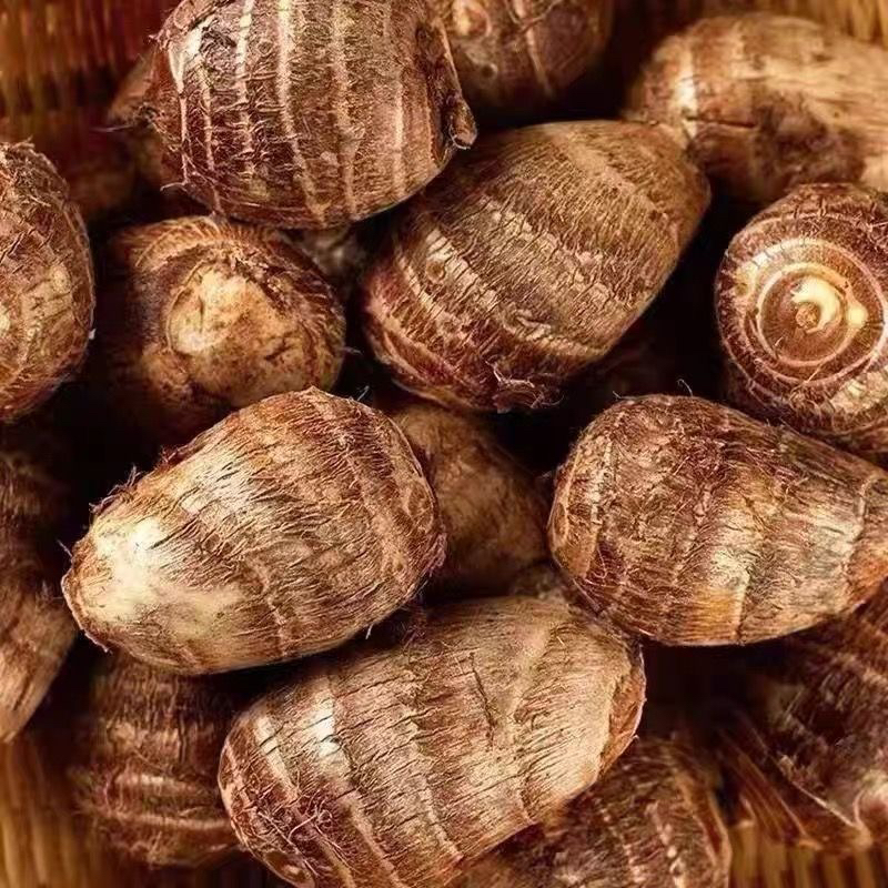 新鲜应季粉糯香甜的牛奶小芋头