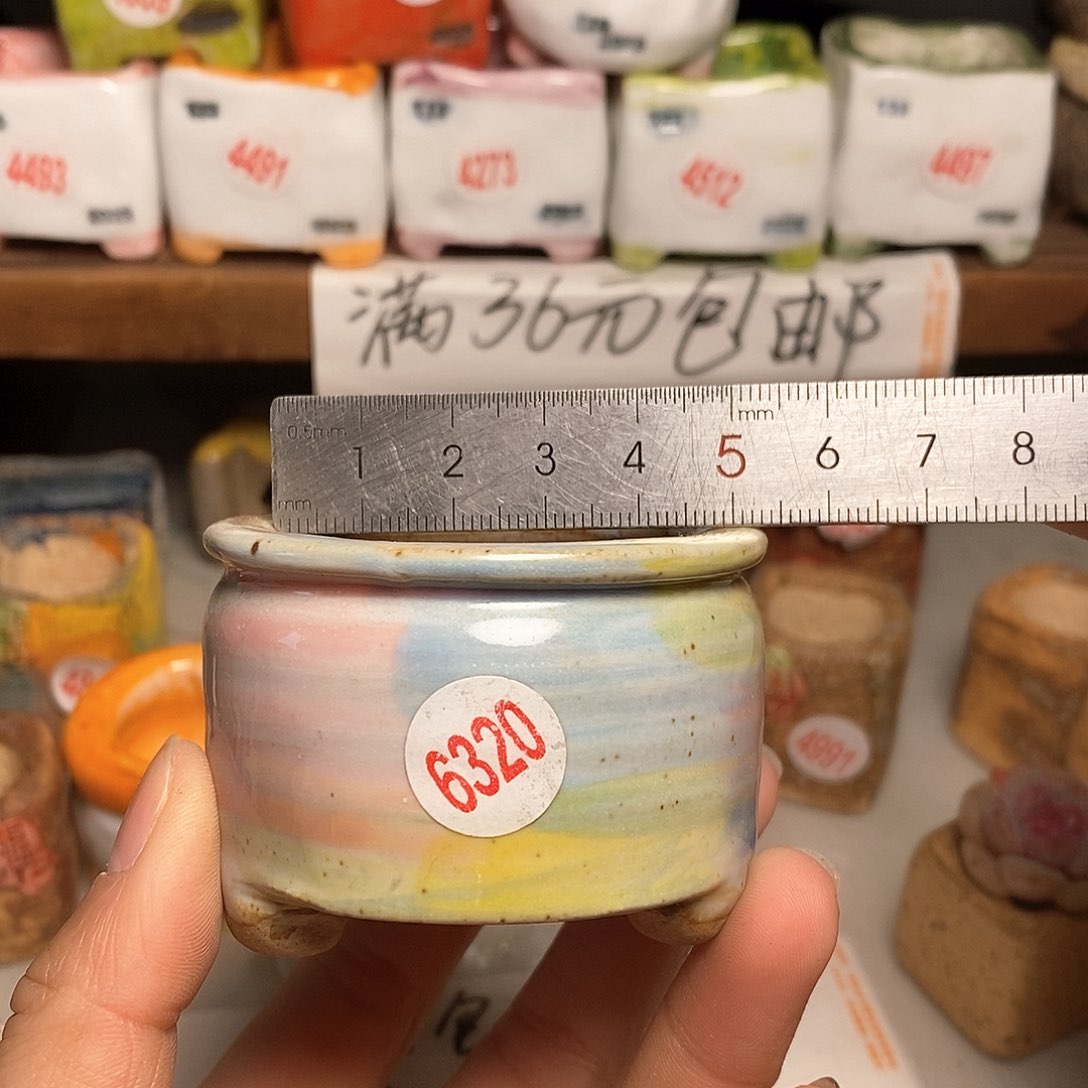 红陶拍5送一个小