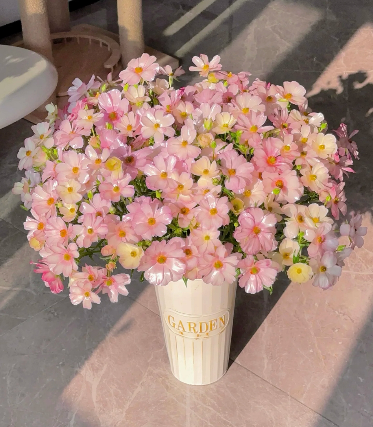 【春日限定】蝴蝶洋牡丹 Butterfly peony 珠光少女