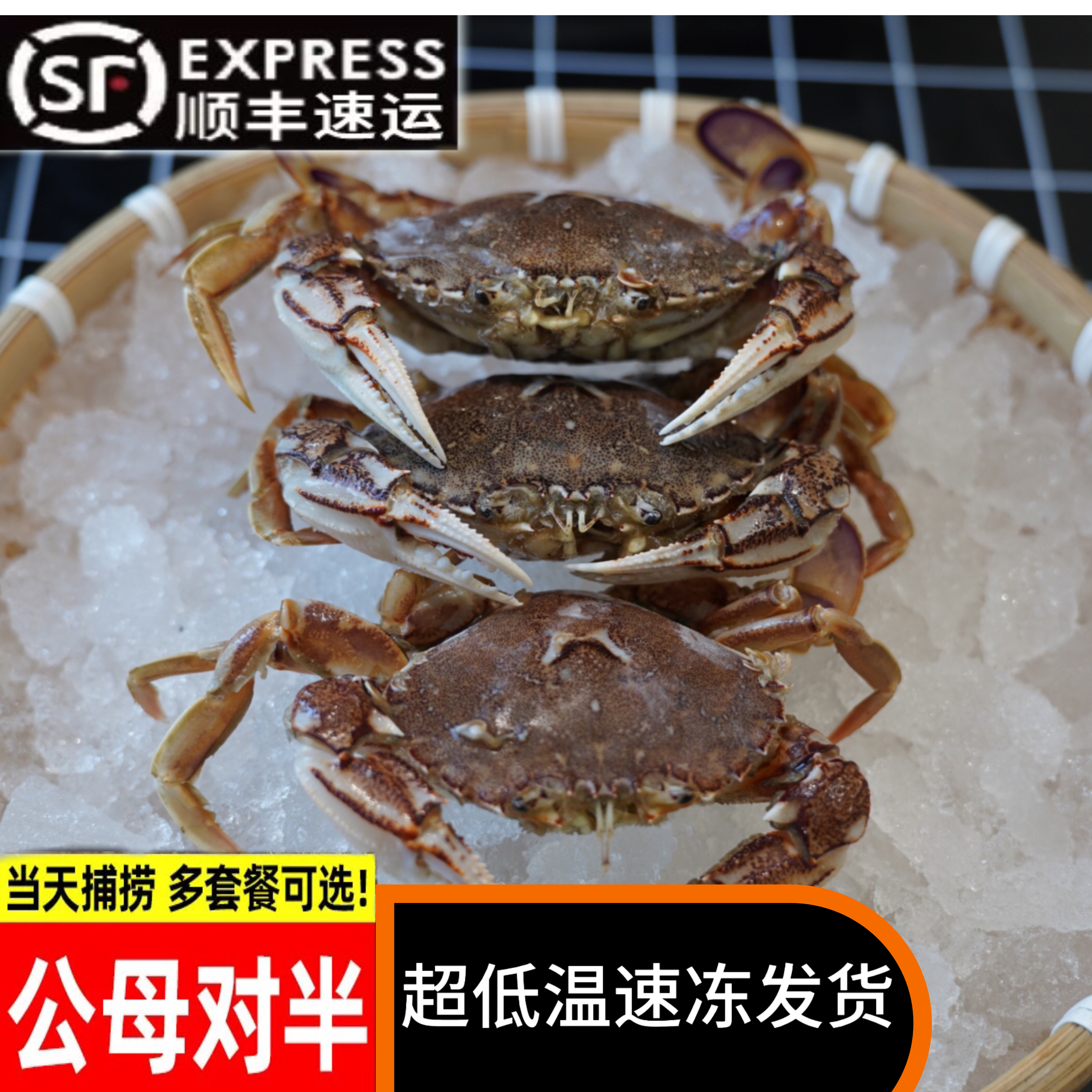 活冻【冻蟹】东海沙蟹 母蟹带膏 公母混发 顺丰包邮 3斤3-8只4两上