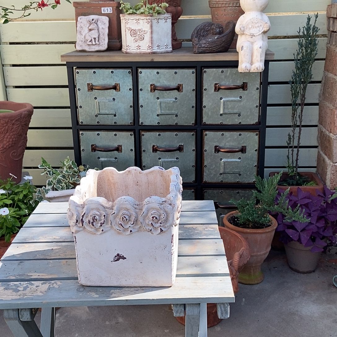 玫瑰小方盆口15内12.5高13.5