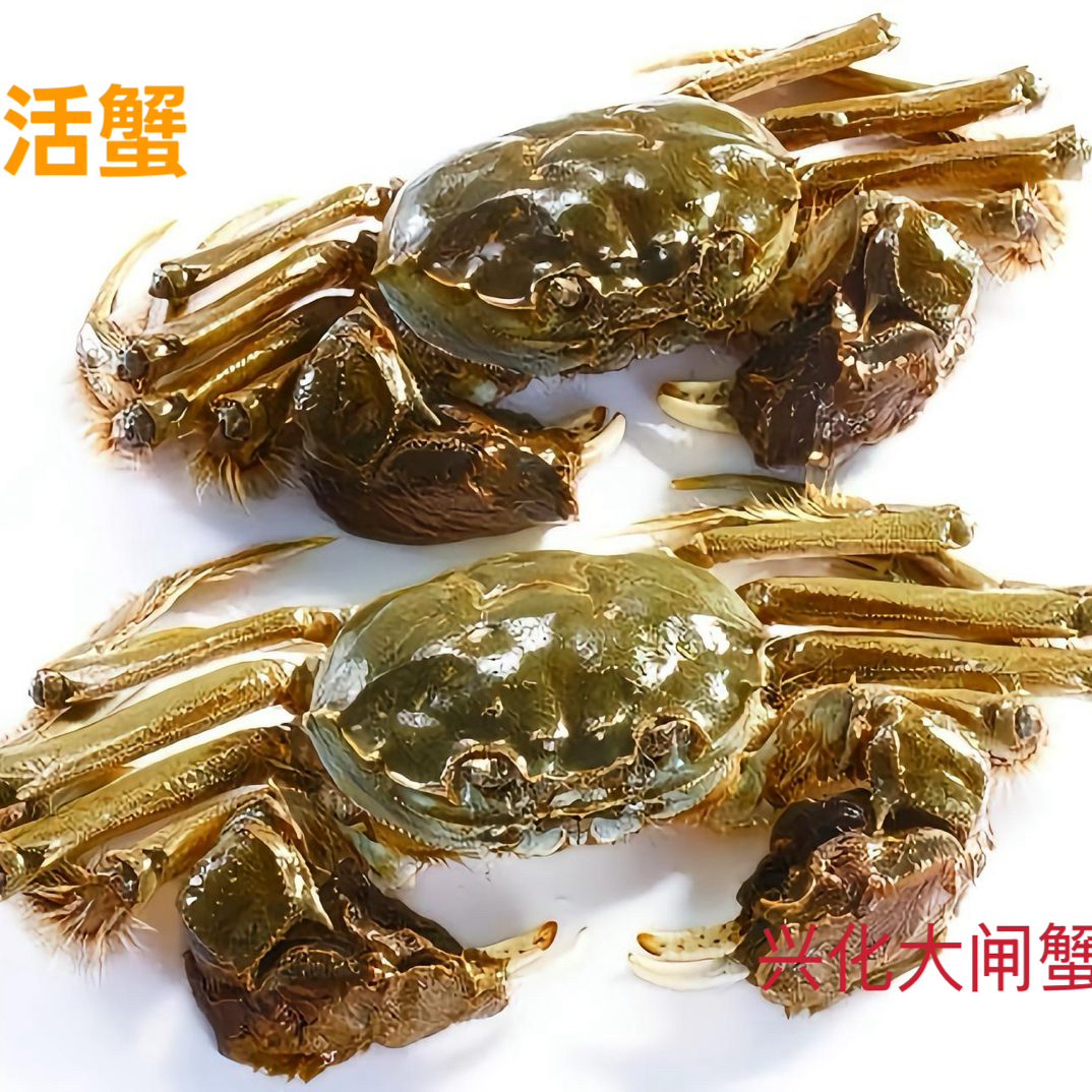 活蟹/兴化大闸蟹/公蟹缺指5两以上1只38元