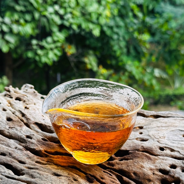 叶香社 勐海白茶 2018年 古树老白茶 