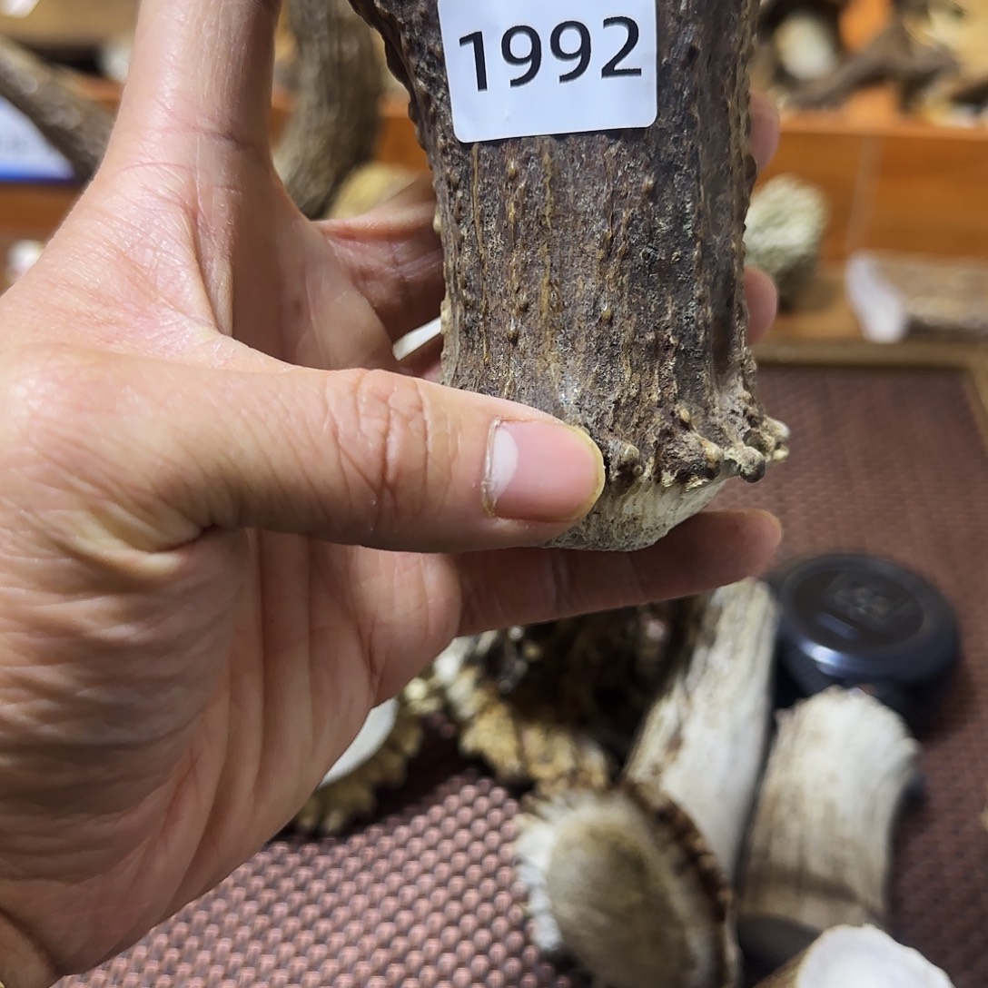 鹿骨手串/手链1992根