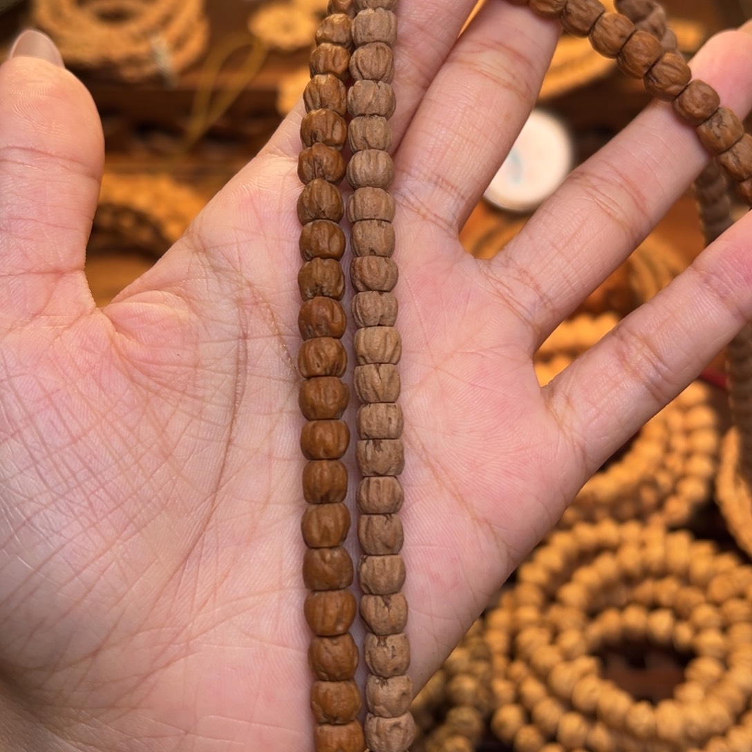 菩提籽类直切红皮