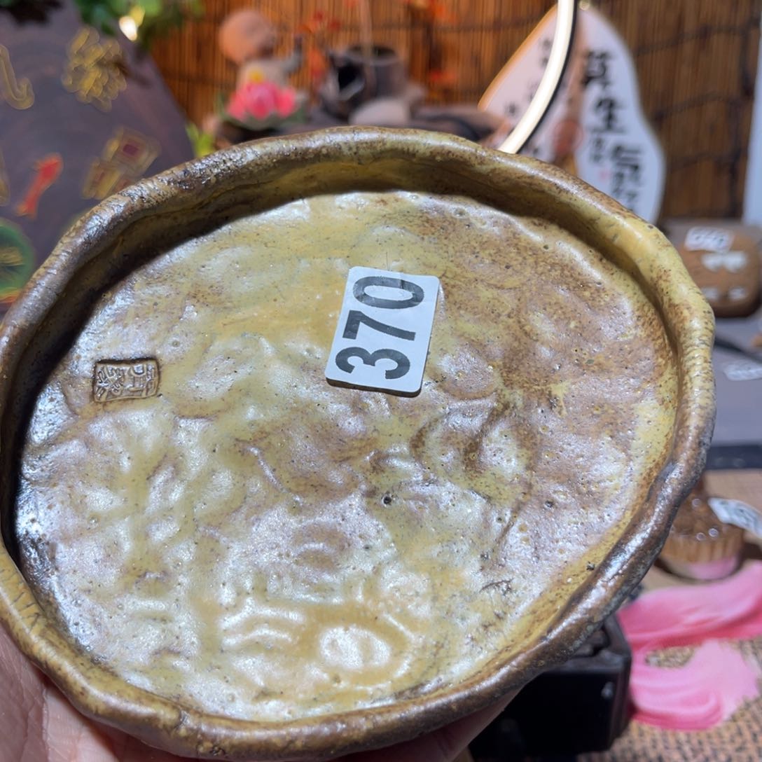 木村信弘柴烧保平