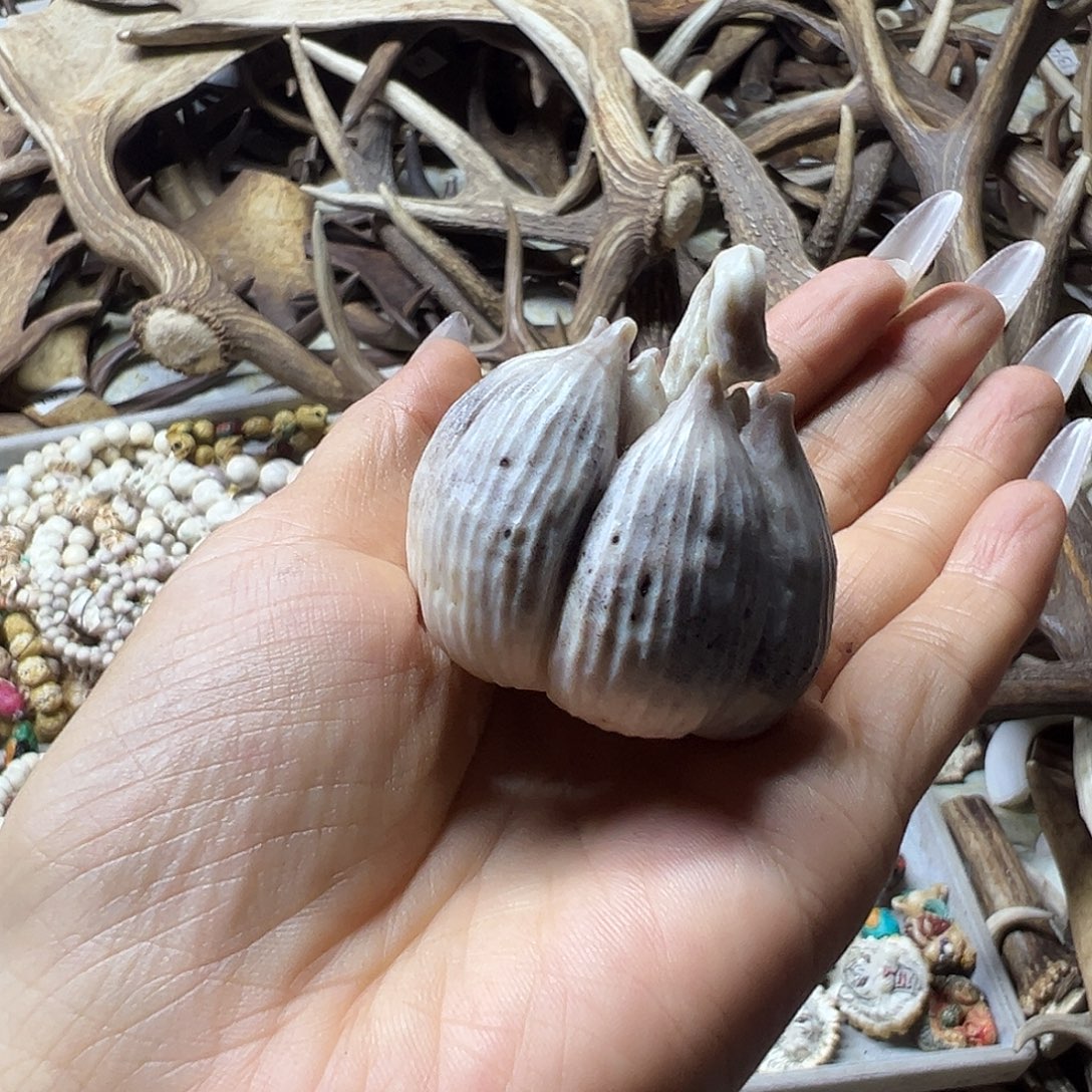 鹿骨手串/手链鹿角