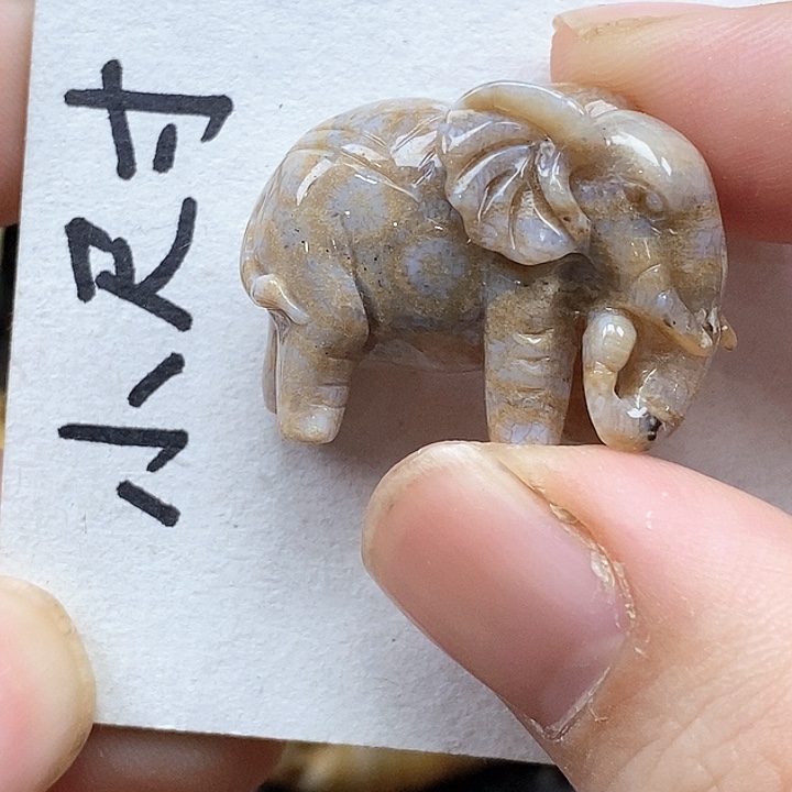 颈饰未镶嵌硅化珊瑚（珊瑚玉）