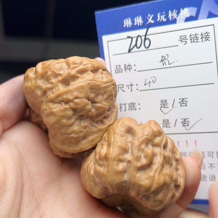 文玩核桃吊坠核桃树206