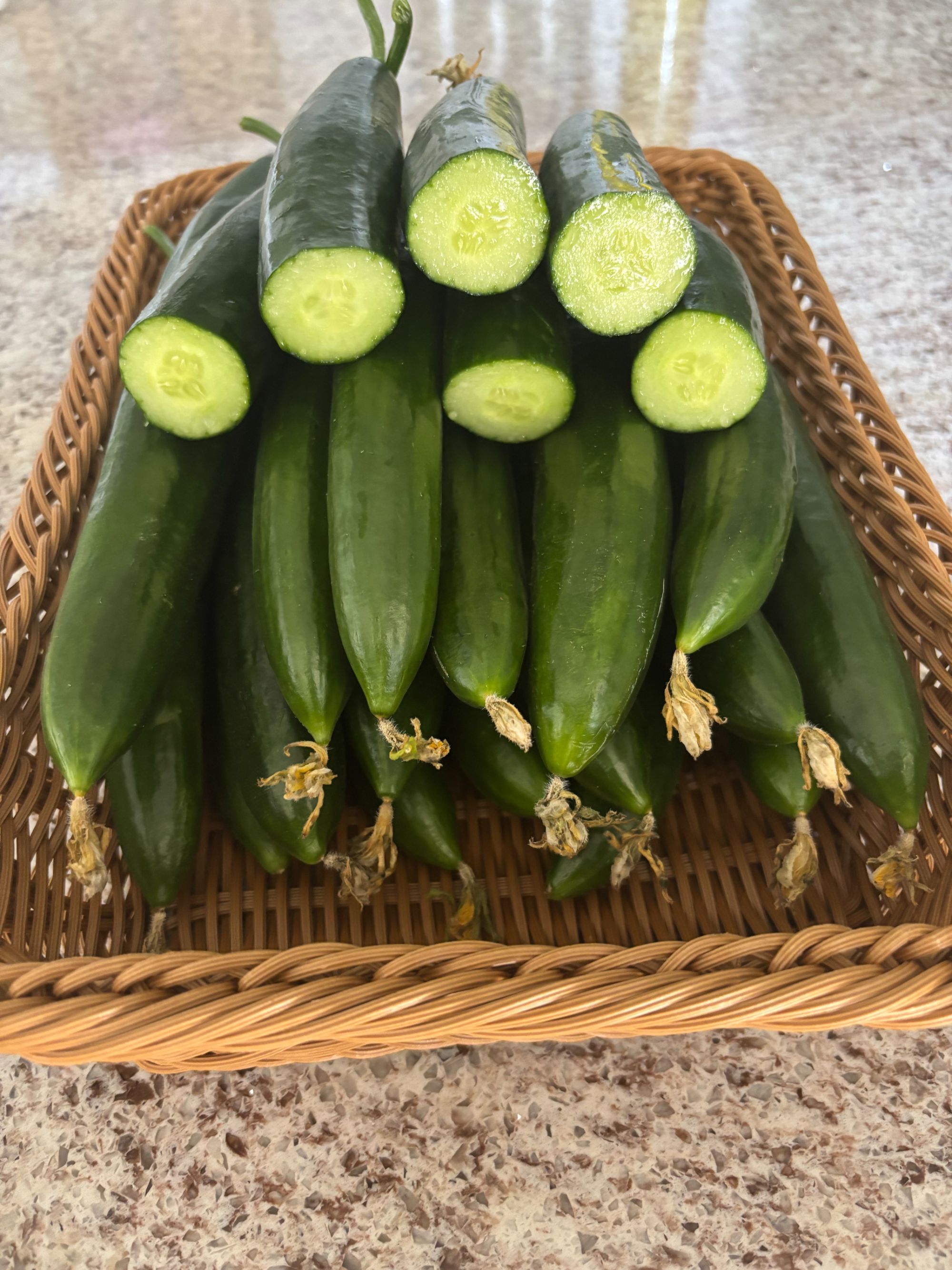 （徐州食尚集） 邳州本地大棚  油皮黄瓜