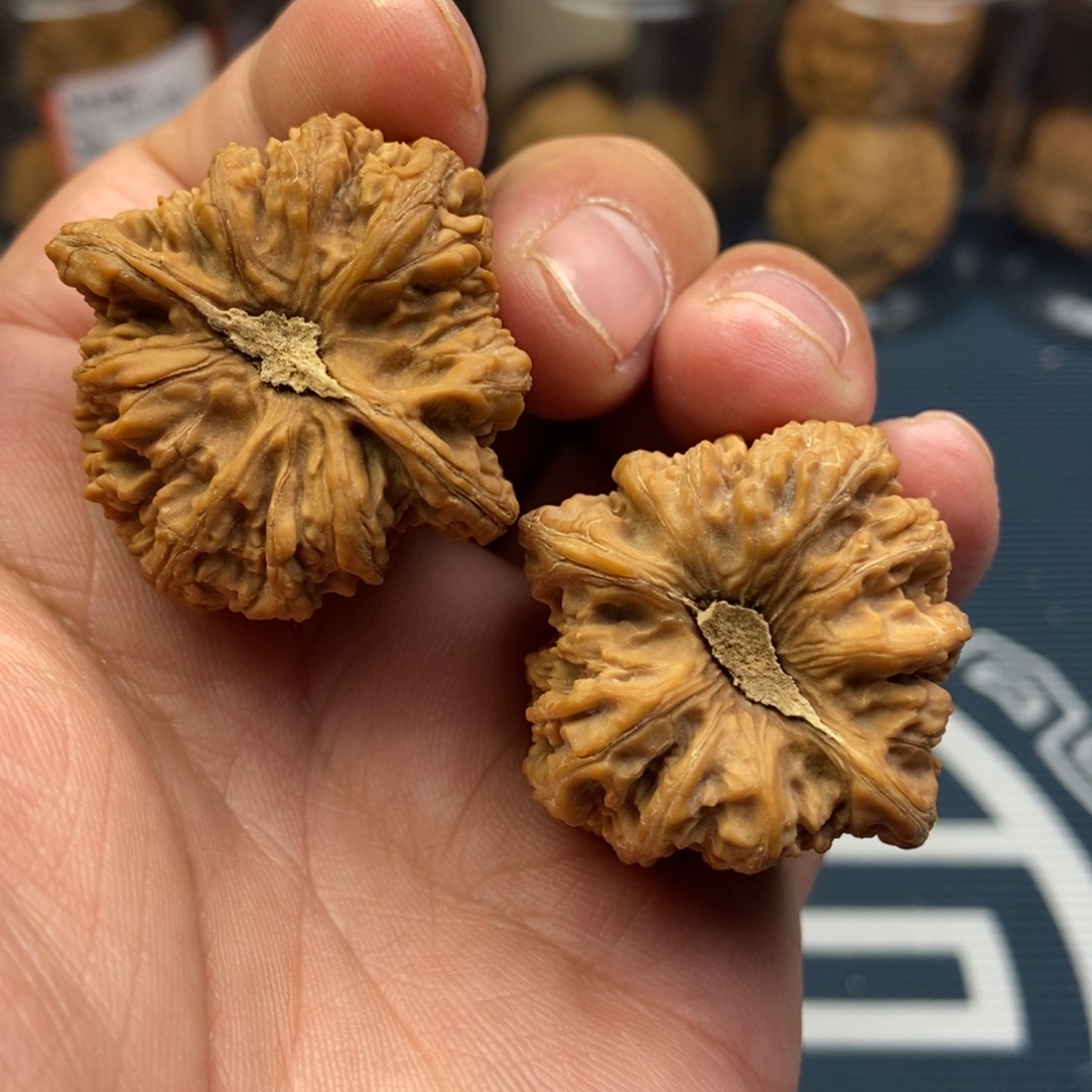 文玩核桃吊坠密纹