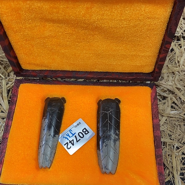 软陶晚上吃什么呢，晚上吃什么呢，晚上吃什么呢