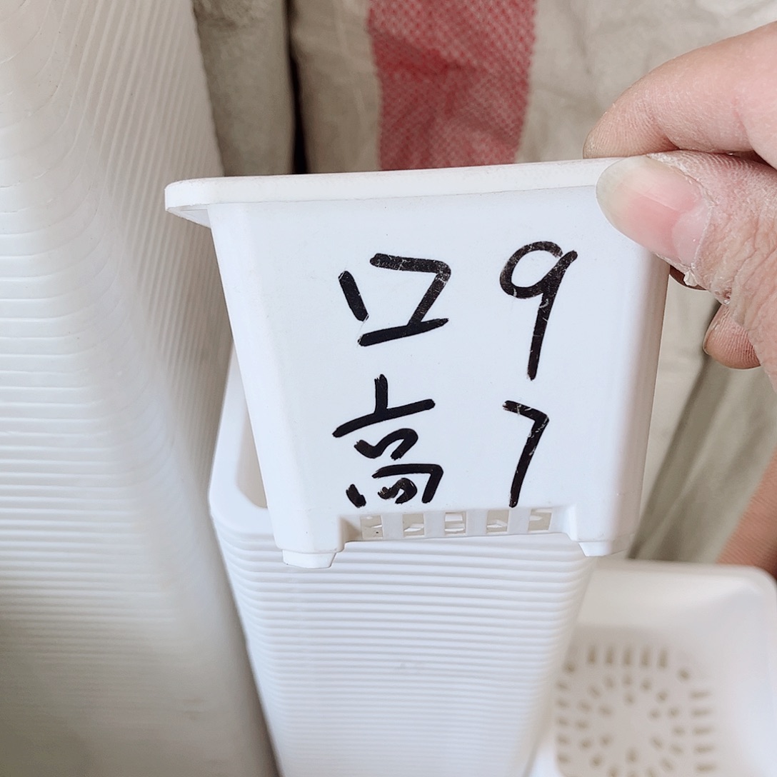 树脂福利款9方白色盆20个无托