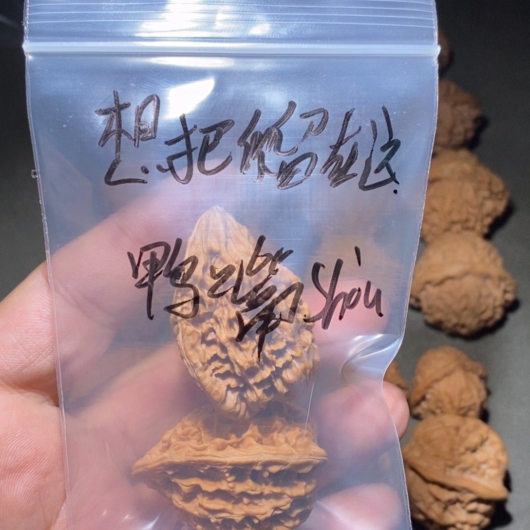 文玩核桃吊坠想****里鸭嘴兽