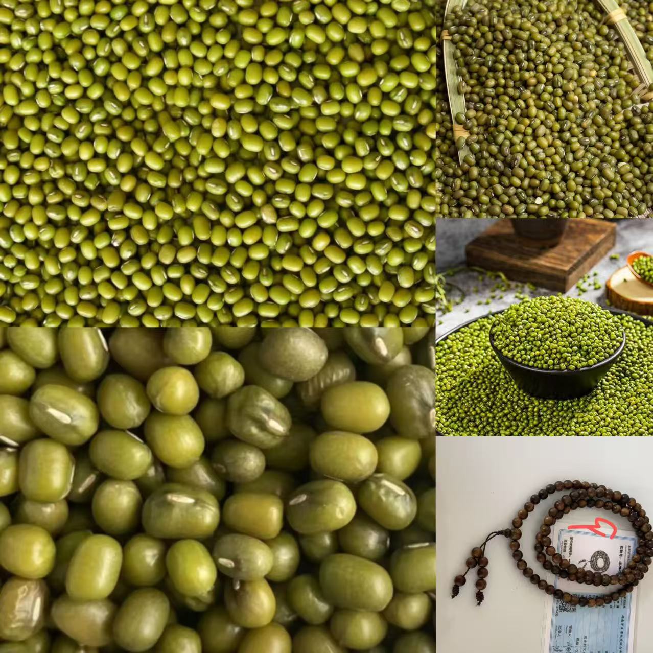 《9》龙腾专属土特产豆0.8x108-世0803