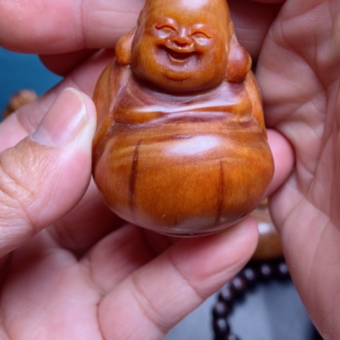 柏木（崖柏）果*爹728888888888888