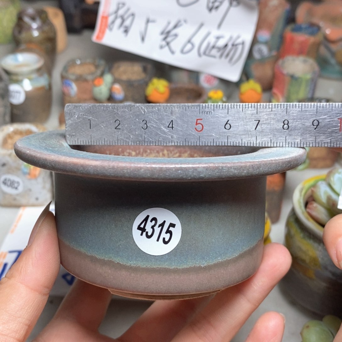 处理，拍5送一个小礼物