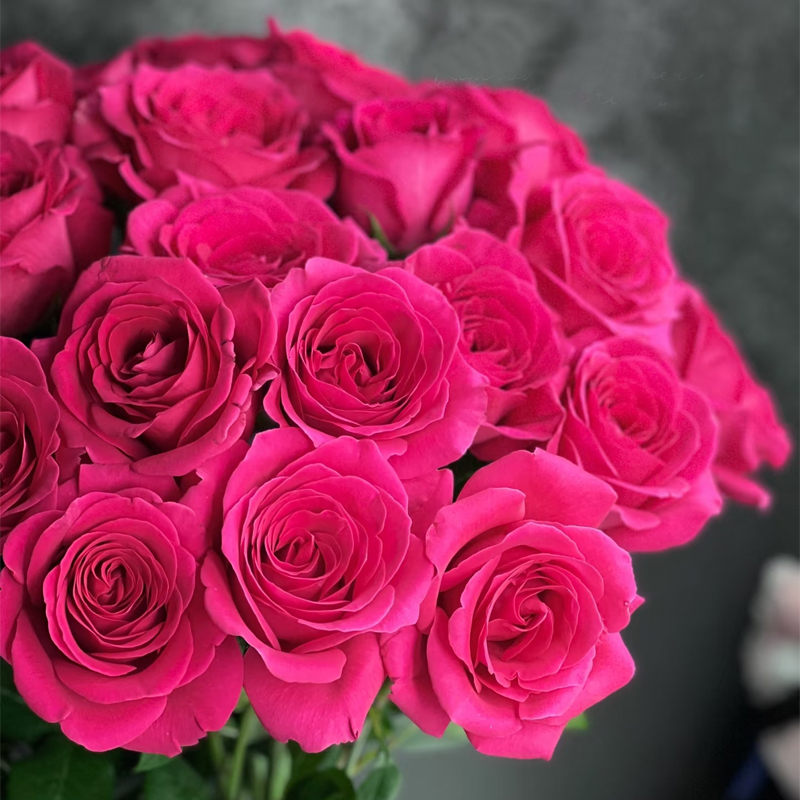 【弗洛伊德】单头玫瑰鲜花花束云南昆明基地直发速递同城家用水养