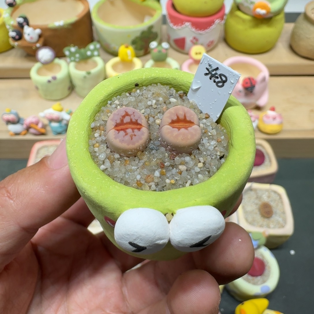 蘑菇308热唇热唇