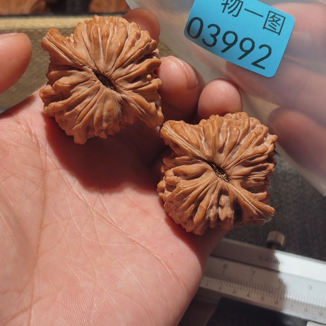 文玩核桃把件楼楼楼