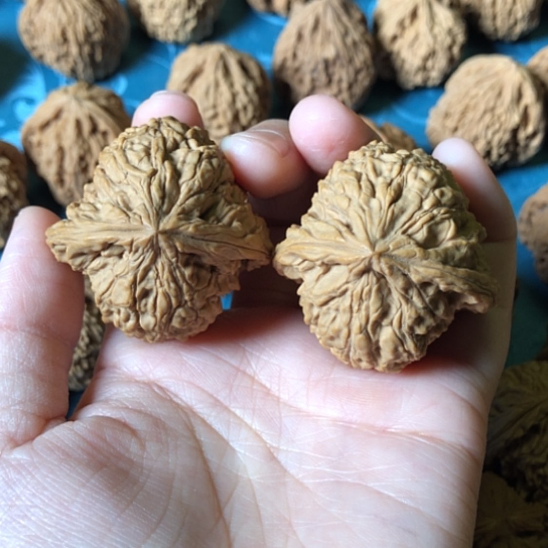 【闪购商品】文玩核桃把件豆*一代南疆石