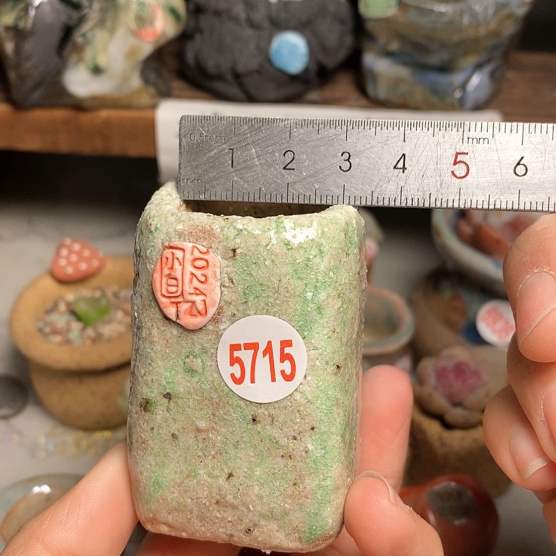 红陶拍5送一个小