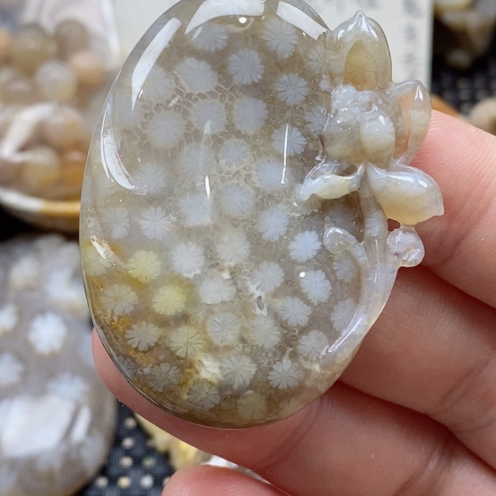 硅化珊瑚（珊瑚玉）颈饰未镶嵌