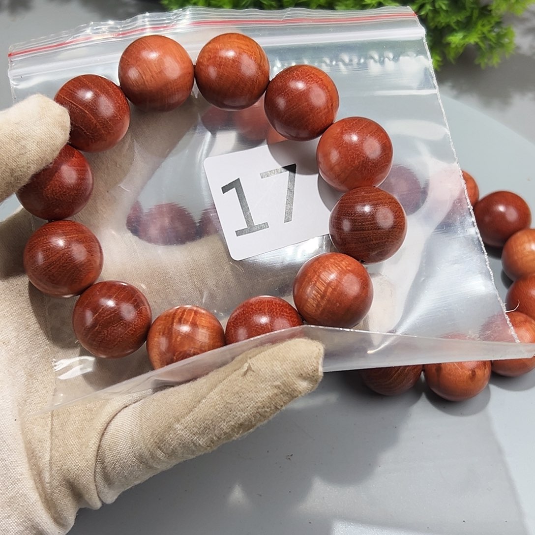 梨木畅**悦火琉璃…。火琉璃