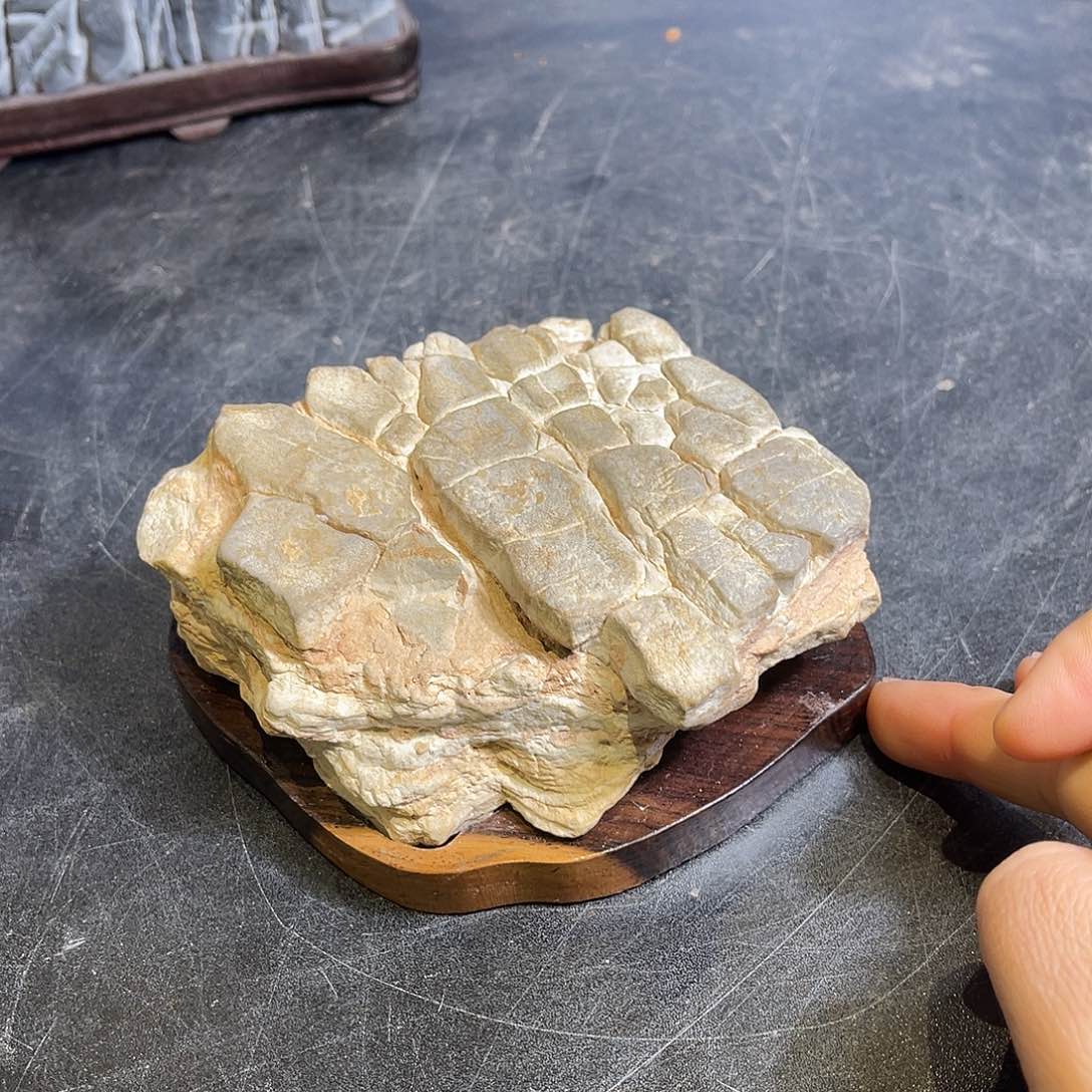 紫砂我也想说我不爱你们