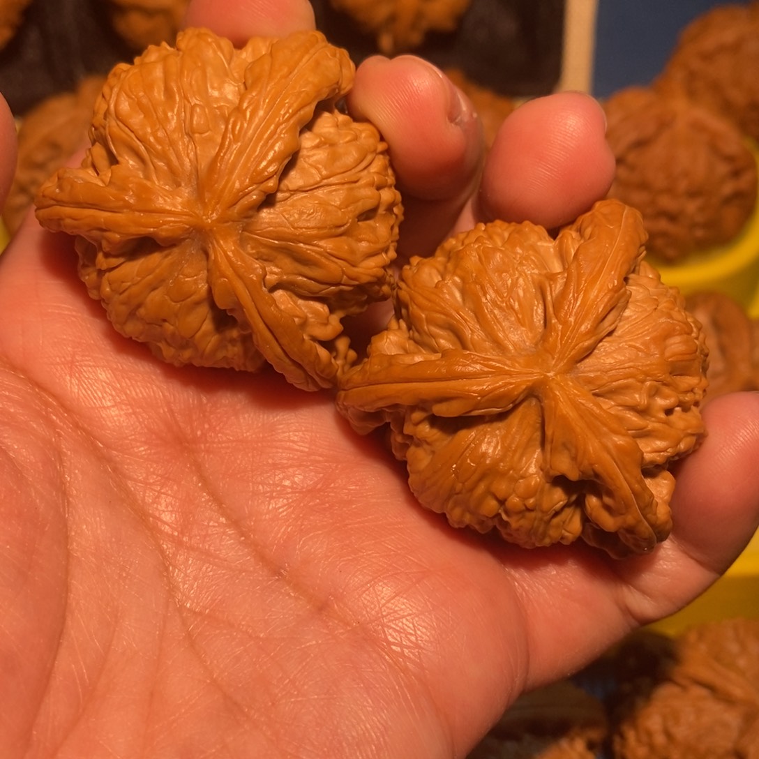 爱***拉文玩核桃吊坠白狮子