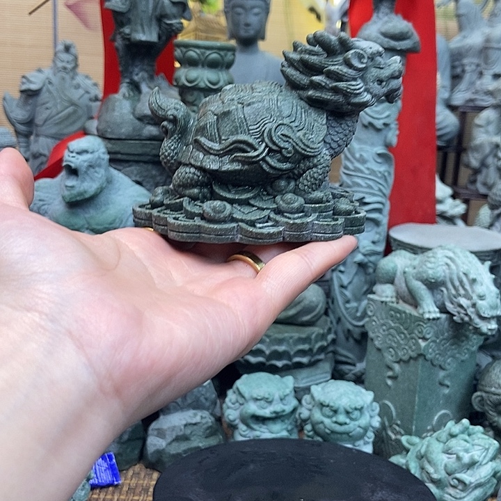 *****金钱龙龟（鱼缸放 水缸放