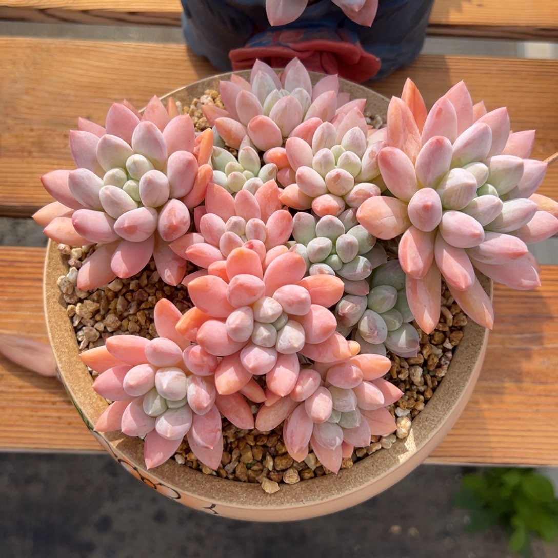 光忙12133333333333