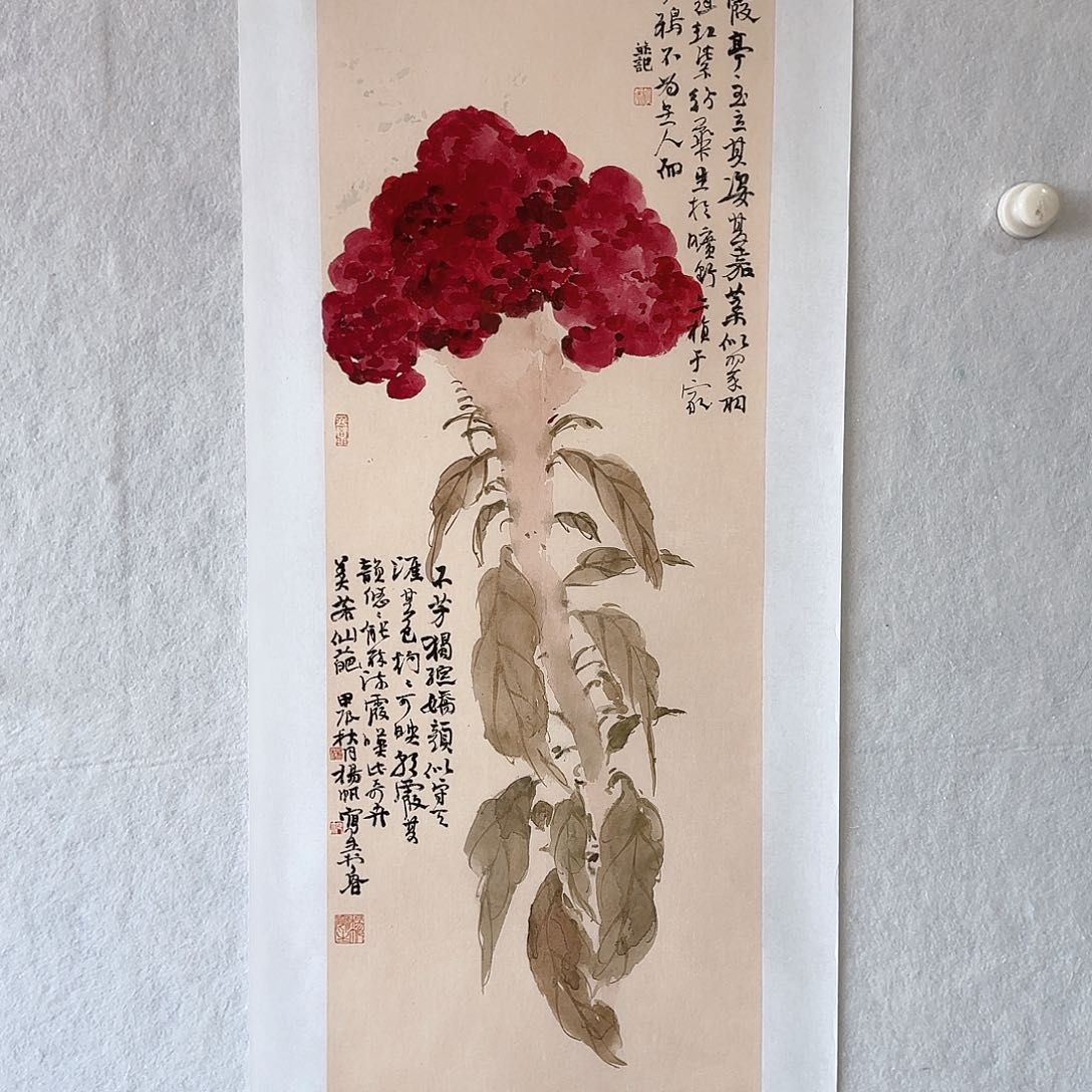 国画夏日必备神器的搭配哟