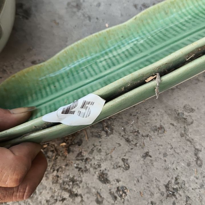 …***伊瓷片磁州窑陶瓷杯盘碗壶