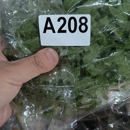 常***姐208%8888888888855