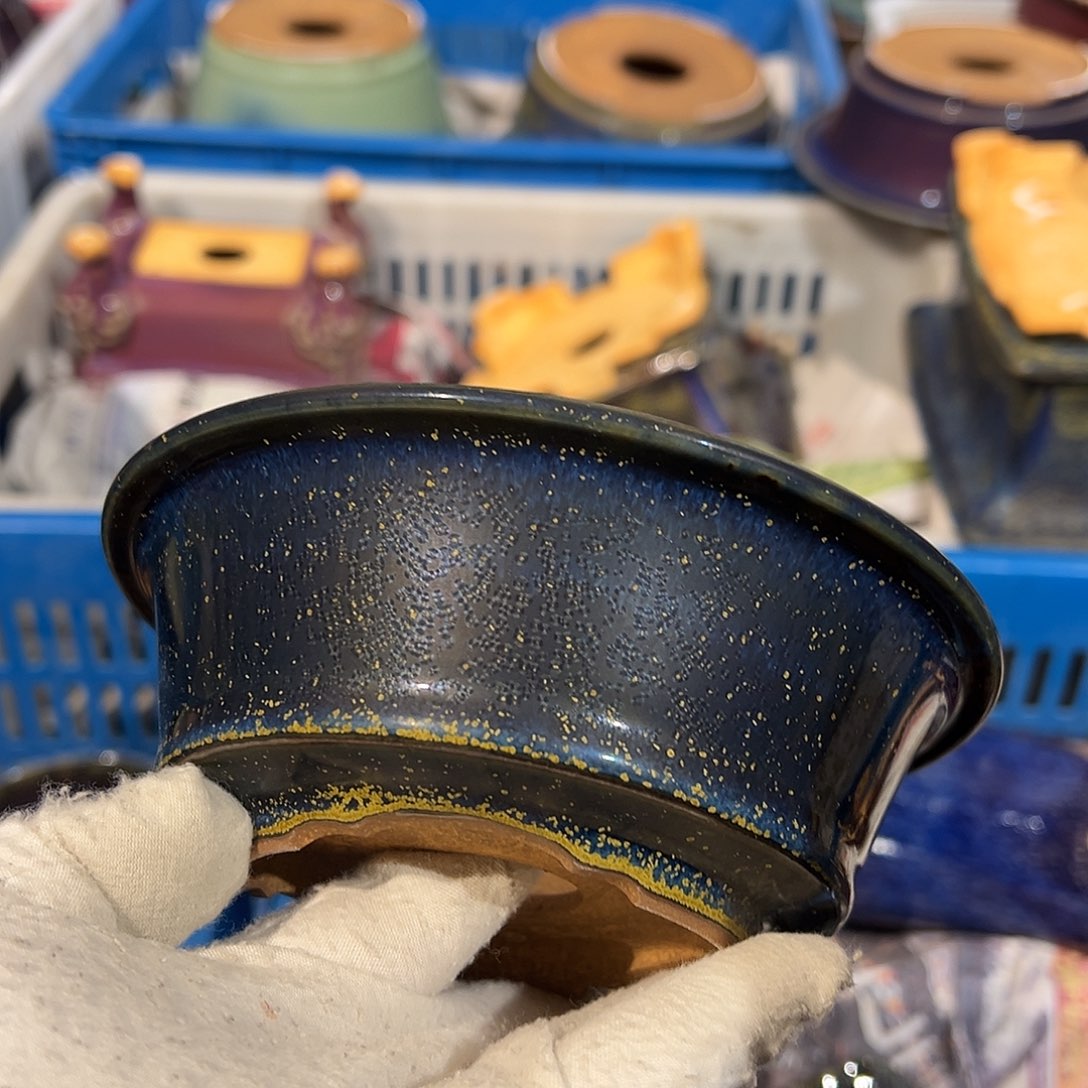 碗觉象原创作品欣赏分享