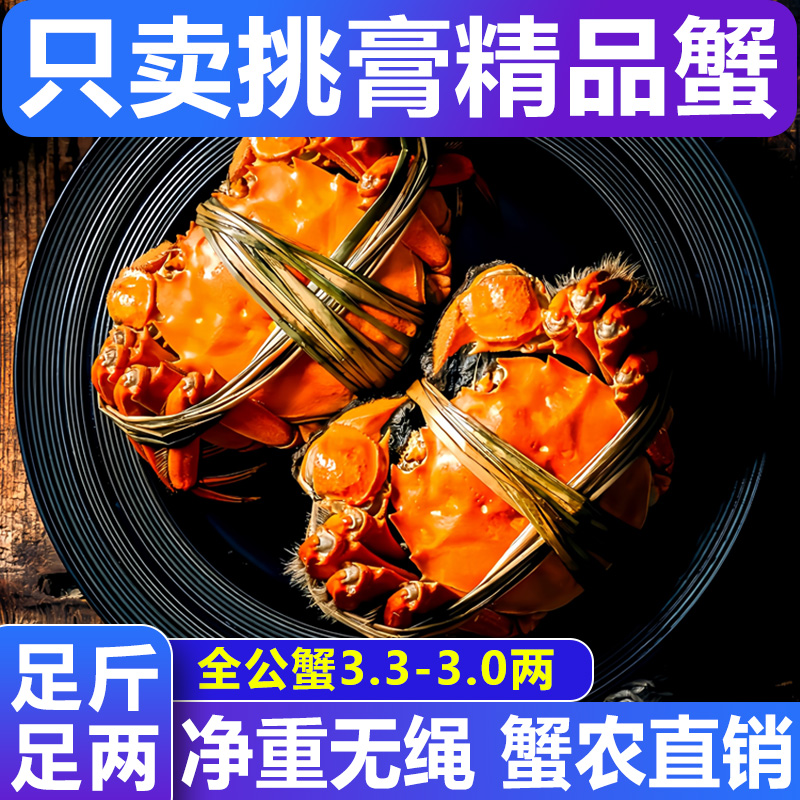 【活蟹】大闸蟹 全公蟹3.3-3.0两8/10只螃蟹鲜活净重 礼盒装 顺丰