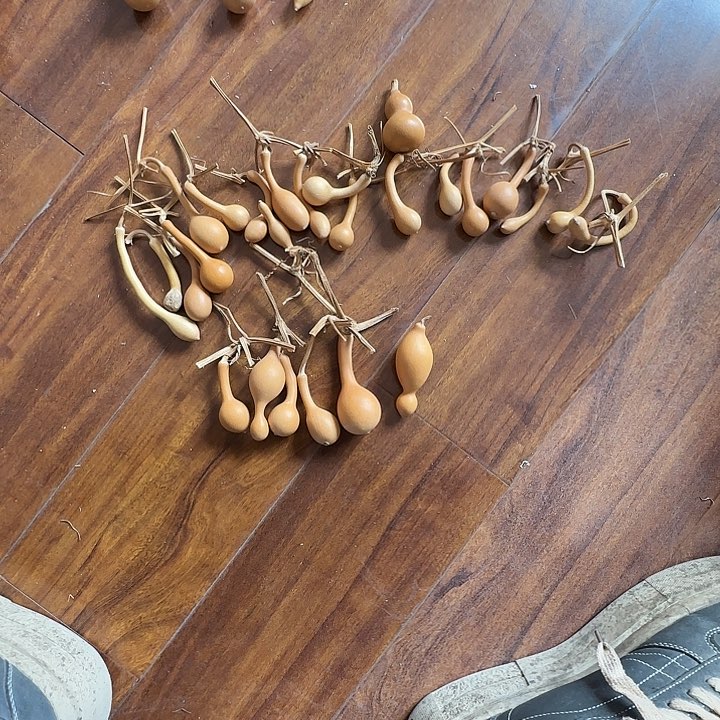 珊***读八宝葫芦组合活动