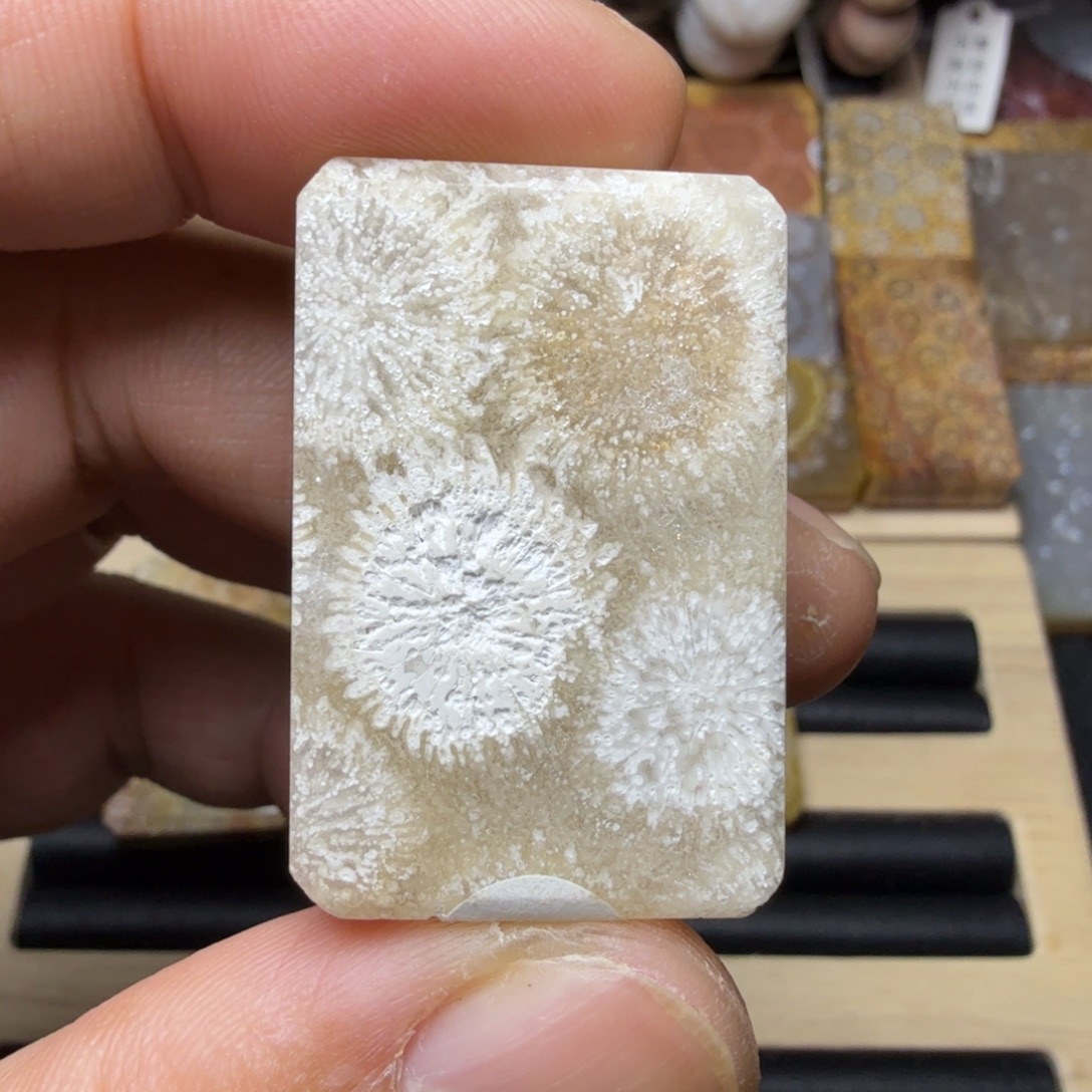 硅化玉未镶嵌纯天然色有机玉石保真色
