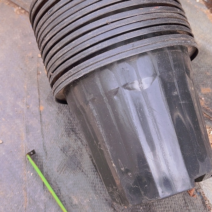 黑砖口径16高13发20个