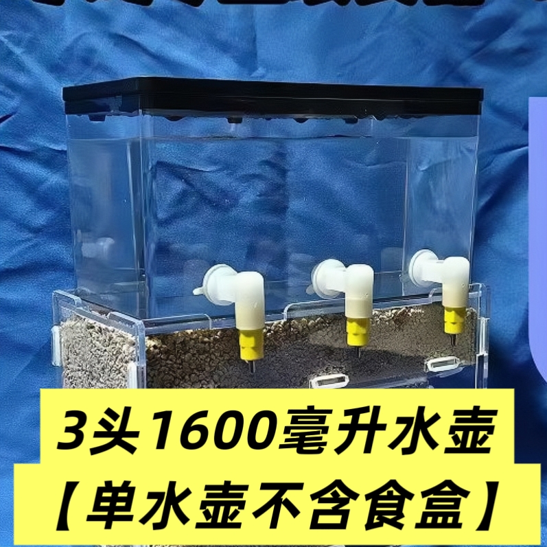 芦丁鸡撞针饮水器大容量三头饮水器喂水槽自动控制芦丁鸡撞针饮水