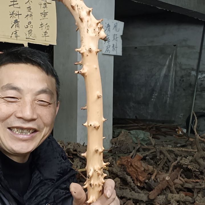 稳定木徐贵州檬子木   铁马鞭   根艺  半成品
