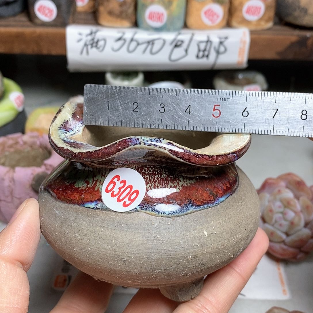 红陶拍5送一个小