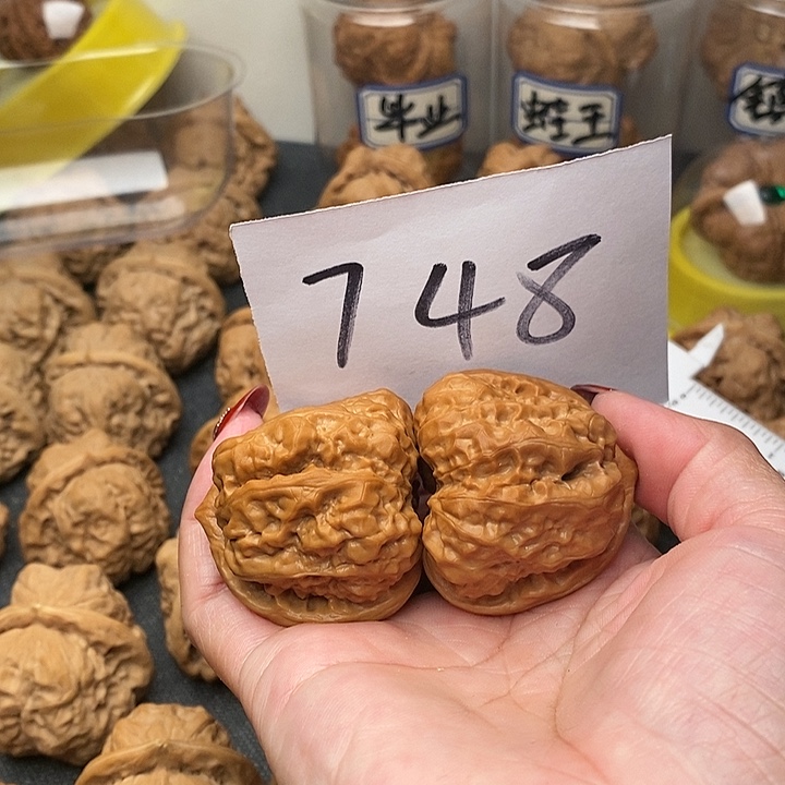 小***样核桃蛤蟆洞等景名胜