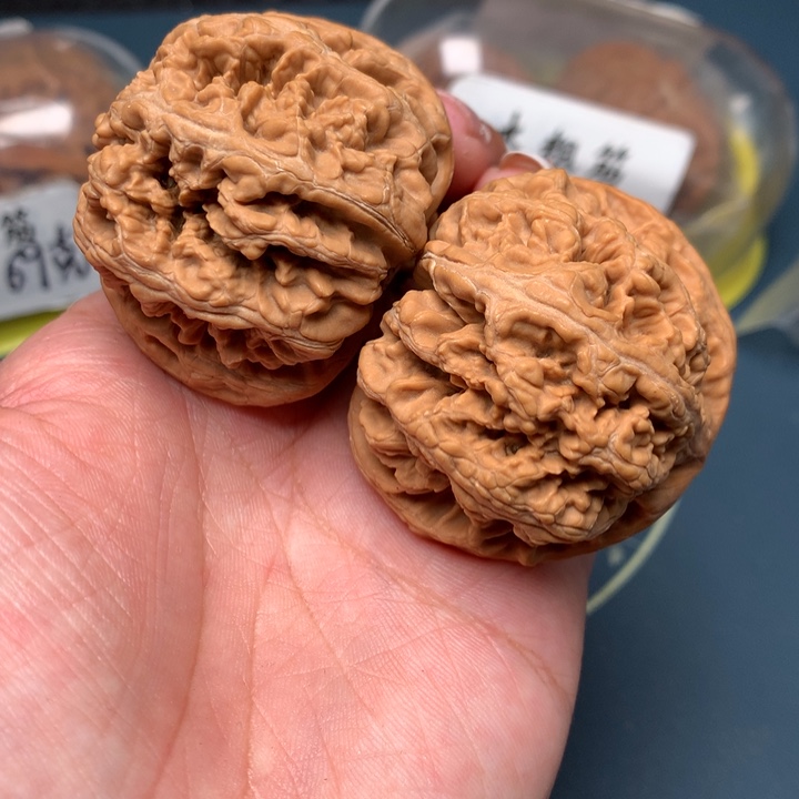 文玩核桃把件47-1561-9