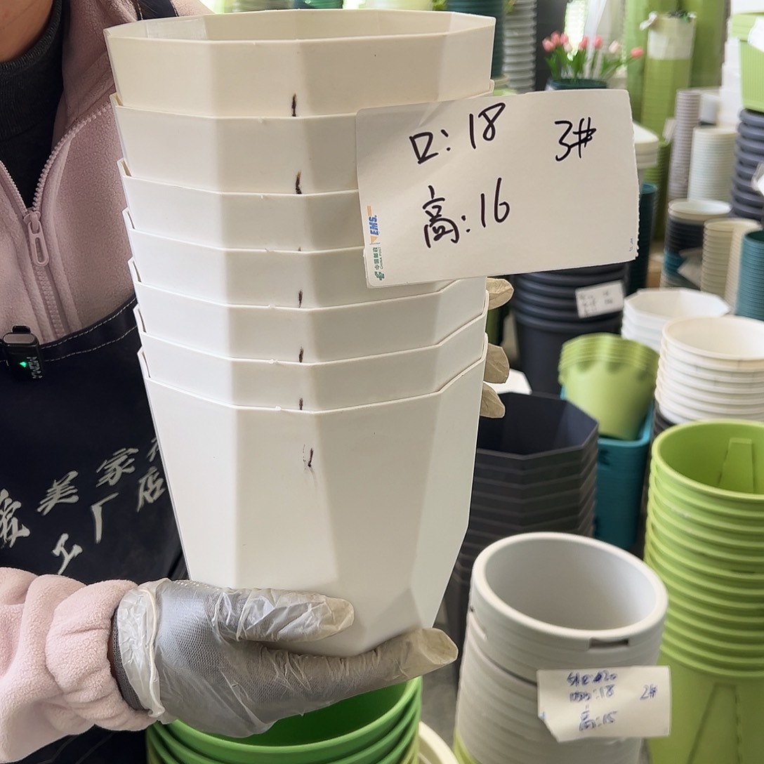 瑕疵雅典3#白色8个无托