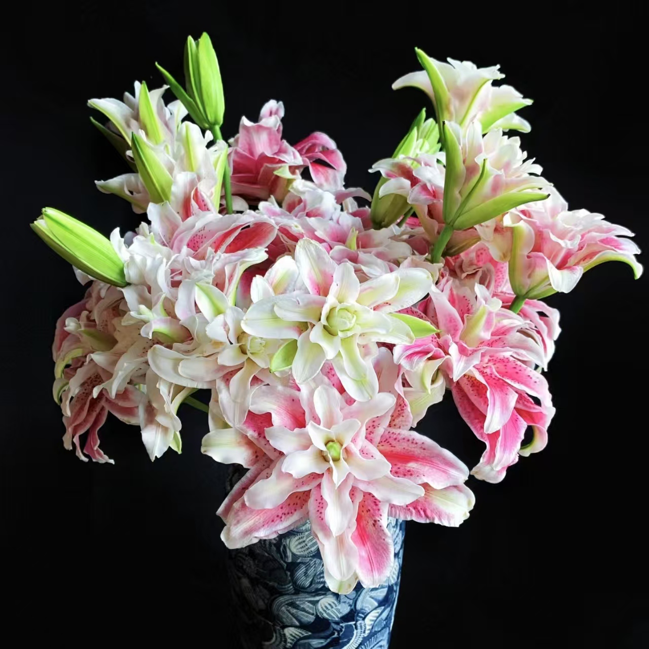 5枝迪奥双头百合10个花苞 (两单发顺丰或京东快递)