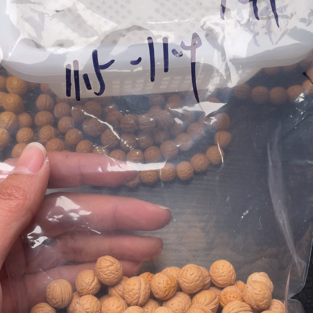 【闪购商品】球*散子批发30米