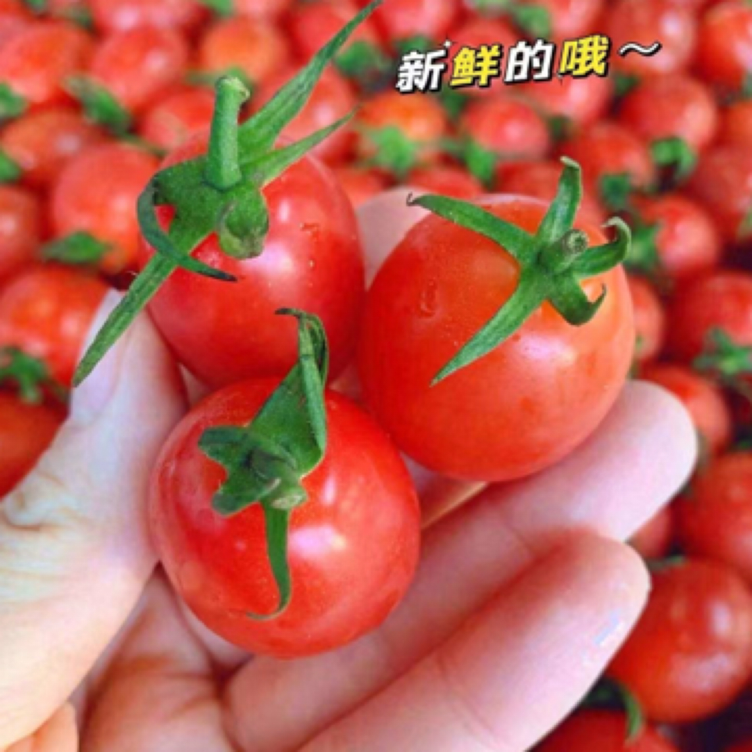 小金箱 爆浆千禧纯甜 2箱4斤净重